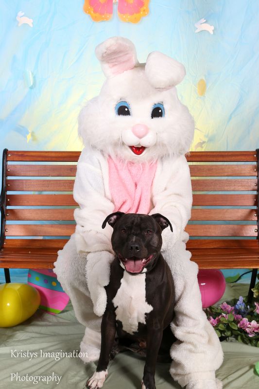easter2016cc-72.jpg