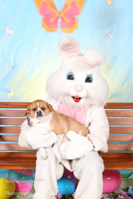 easter2016cc-74.jpg