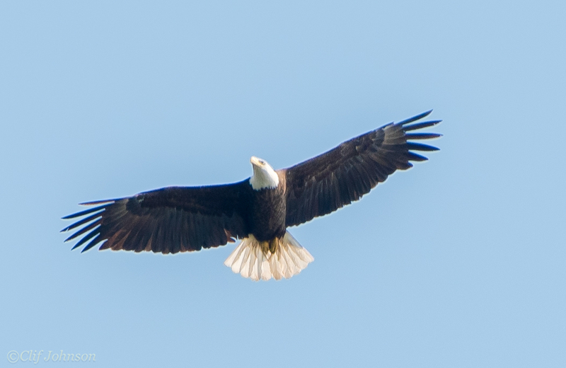 CWJ_3346-1.jpg