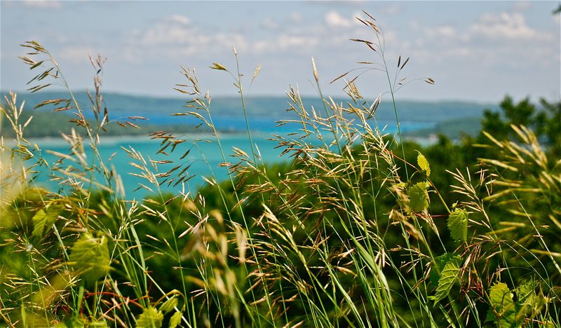 DSC_0104.jpg :: Wild Oats Over Glenn Lake