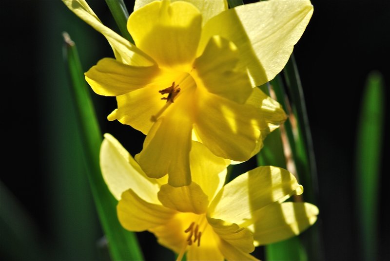 DSC_1059.jpg