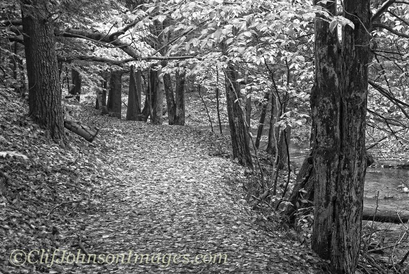 DSC_7998 touched-2.jpg
