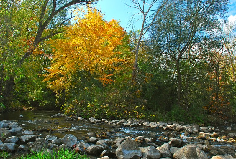 Huron River Fall 09 0218.jpg