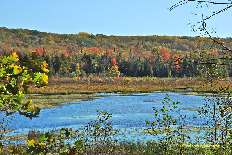 October color lake view 4902.jpg