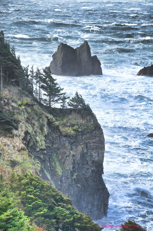 Oregon clifs and rocks 8x12 0582_2 copy.jpg