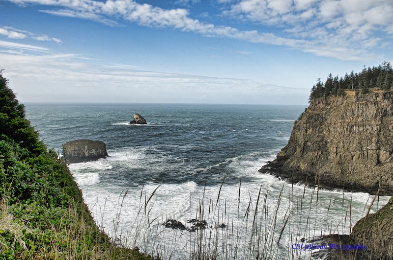 Oregon coast wed bay viewT 8x12 0750.jpg