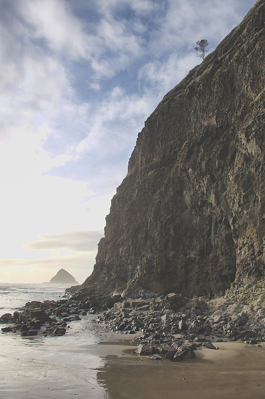 Oregon sunset rock with tree T 12x8 0883_2.jpg