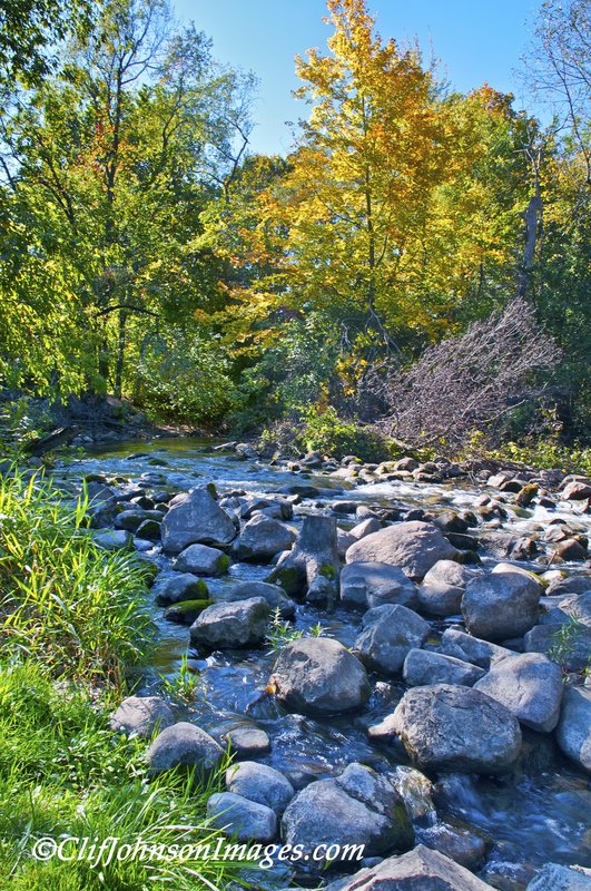 Yellow tree creek T8x12s_2.jpg