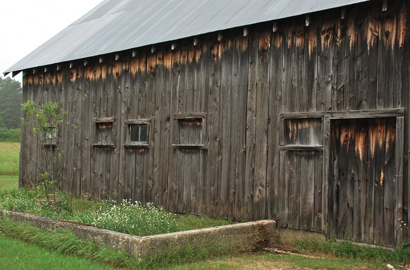 back side of weathered barn 8x12.jpg
