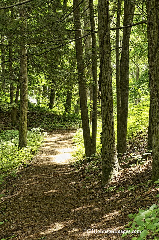 lightedpath 8x12 2010_2.jpg