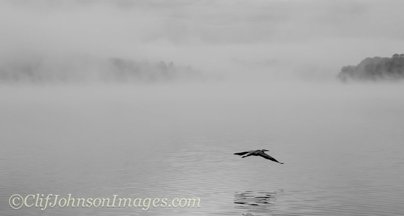 DSC_1031.jpg