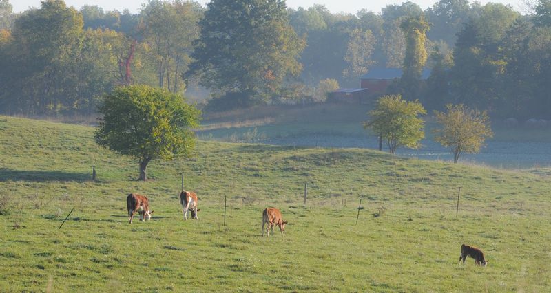 DSC_1611.jpg