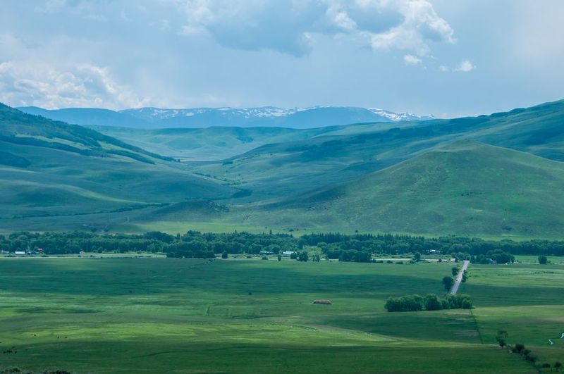 DSC_2650.jpg