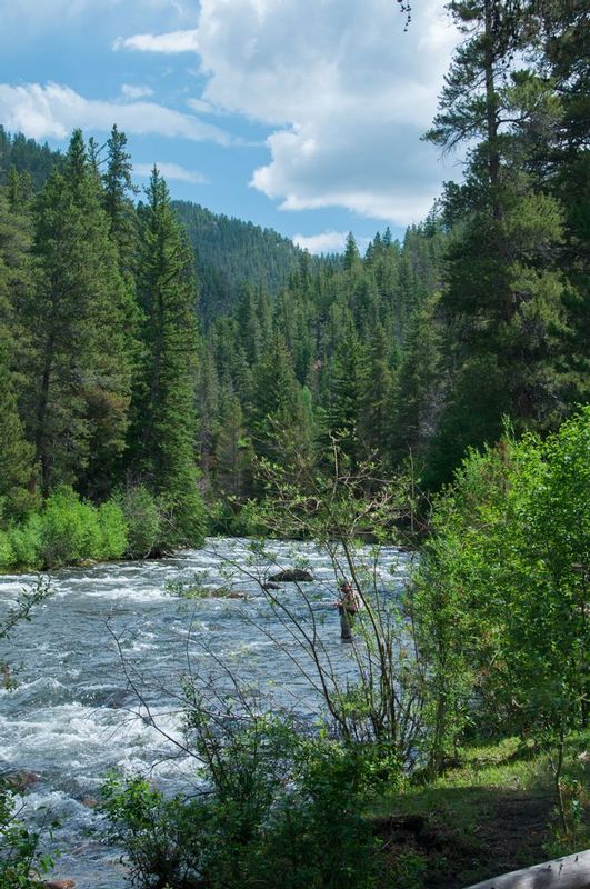 DSC_2676.jpg