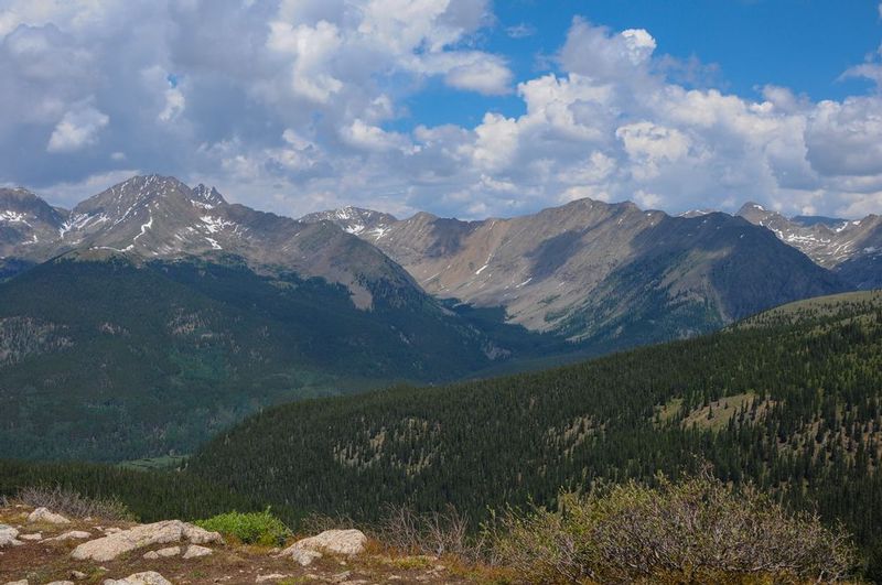 DSC_27081.jpg