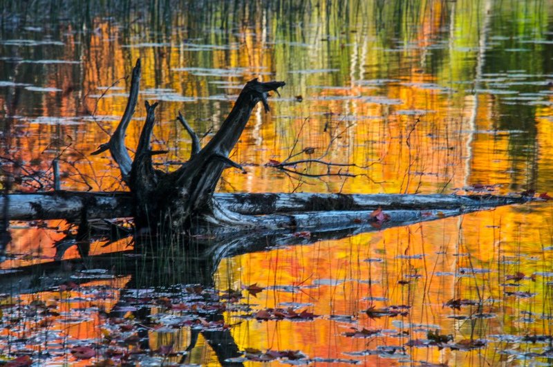 Fire Water.jpg