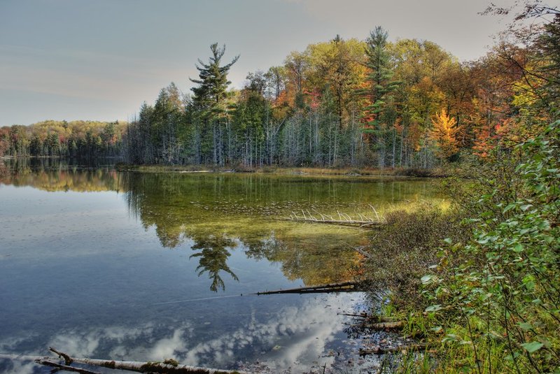 Ransom lake HDR viewDSC_5127____tonemapped.jpg