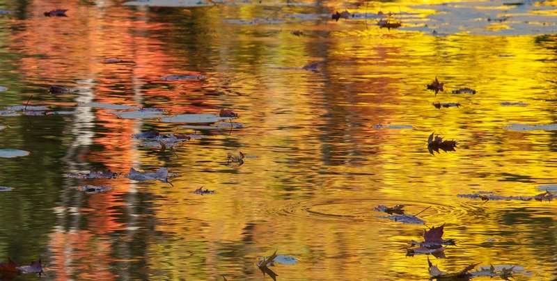 red impressionist1.jpg