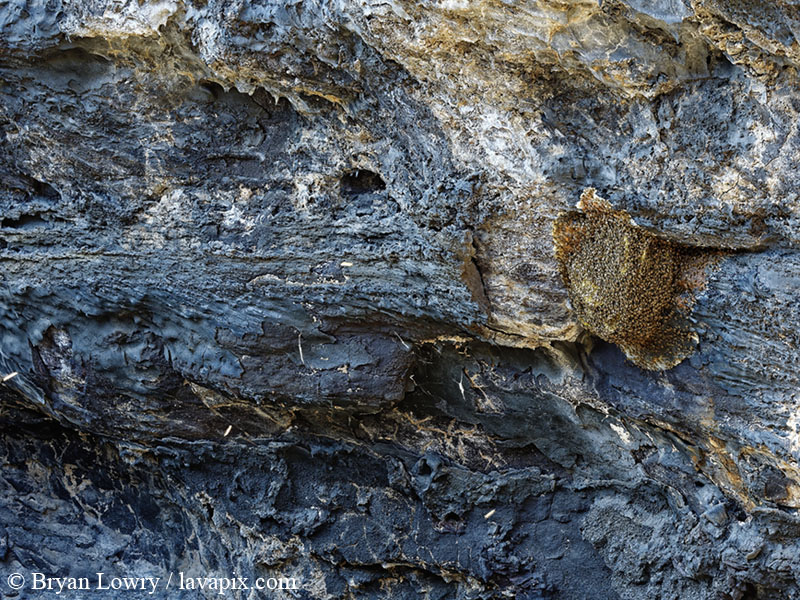 _BL_4200_9-17-20_DXO-DeNoiseAI-denoise.jpg :: Lava tube beehive, Kailua Kona, The Big Island of Hawaii