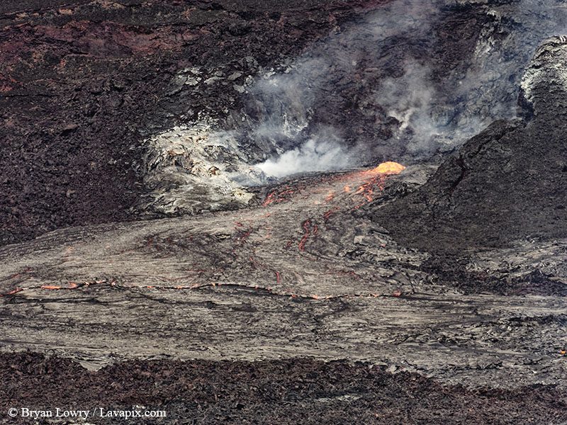 _BL_9114 - 32625 GH5(1).jpg :: The white-tailed tropicbird, also known as Koa?'e kea in Hawaiian, is a seabird that breeds on tropical islands and lives in the crater walls of Kilauea volcanoes' Halemaumau Vent.
Adults have a 3' wingspan.
Episode 15 eruption Lava fountain, Kilauea volcano, Hawaii Volcanoes National Park, The Big Island of Hawaii. 3-26-25