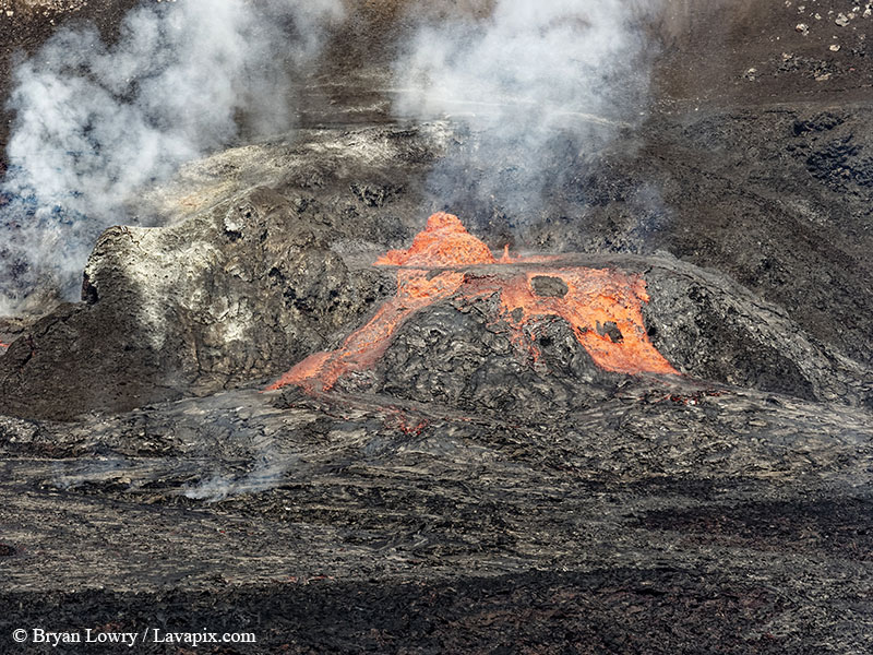 _BL_9119 - 32625 GH5.jpg :: The white-tailed tropicbird, also known as Koa?'e kea in Hawaiian, is a seabird that breeds on tropical islands and lives in the crater walls of Kilauea volcanoes' Halemaumau Vent.
Adults have a 3' wingspan.
Episode 15 eruption Lava fountain, Kilauea volcano, Hawaii Volcanoes National Park, The Big Island of Hawaii. 3-26-25