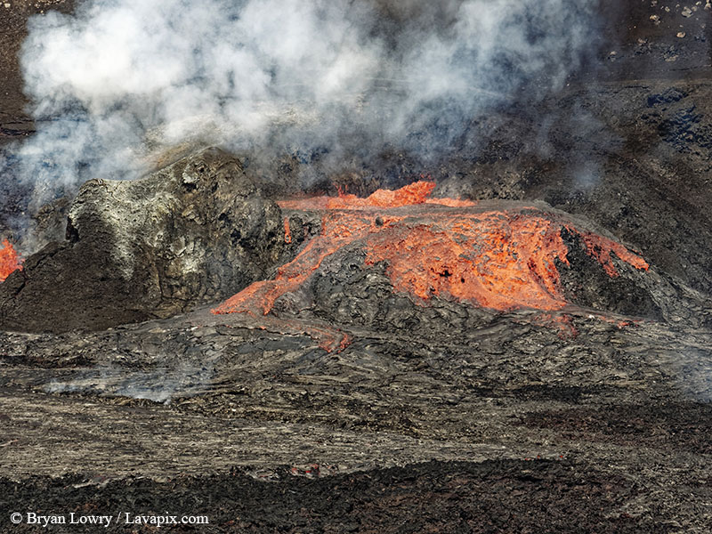 _BL_9121 - 32625 GH5.jpg :: The white-tailed tropicbird, also known as Koa?'e kea in Hawaiian, is a seabird that breeds on tropical islands and lives in the crater walls of Kilauea volcanoes' Halemaumau Vent.
Adults have a 3' wingspan.
Episode 15 eruption Lava fountain, Kilauea volcano, Hawaii Volcanoes National Park, The Big Island of Hawaii. 3-26-25
