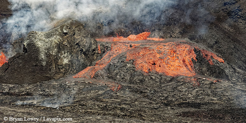 _BL_9121c 32625 GH5.jpg :: The white-tailed tropicbird, also known as Koa?'e kea in Hawaiian, is a seabird that breeds on tropical islands and lives in the crater walls of Kilauea volcanoes' Halemaumau Vent.
Adults have a 3' wingspan.
Episode 15 eruption Lava fountain, Kilauea volcano, Hawaii Volcanoes National Park, The Big Island of Hawaii. 3-26-25