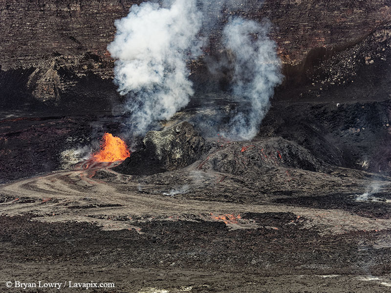 _BL_9124 Bird - 32625 GH5(1).jpg :: The white-tailed tropicbird, also known as Koa?'e kea in Hawaiian, is a seabird that breeds on tropical islands and lives in the crater walls of Kilauea volcanoes' Halemaumau Vent.
Adults have a 3' wingspan.
Episode 15 eruption Lava fountain, Kilauea volcano, Hawaii Volcanoes National Park, The Big Island of Hawaii. 3-26-25