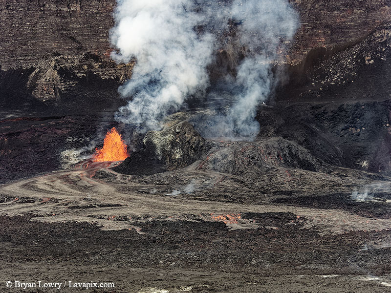 _BL_9128 Bird - 32625 GH5.jpg :: The white-tailed tropicbird, also known as Koa?'e kea in Hawaiian, is a seabird that breeds on tropical islands and lives in the crater walls of Kilauea volcanoes' Halemaumau Vent.
Adults have a 3' wingspan.
Episode 15 eruption Lava fountain, Kilauea volcano, Hawaii Volcanoes National Park, The Big Island of Hawaii. 3-26-25