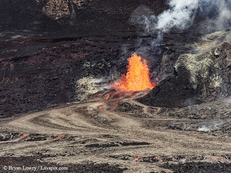 _BL_9134 Bird - 32625 GH5(1).jpg :: The white-tailed tropicbird, also known as Koa?'e kea in Hawaiian, is a seabird that breeds on tropical islands and lives in the crater walls of Kilauea volcanoes' Halemaumau Vent.
Adults have a 3' wingspan.
Episode 15 eruption Lava fountain, Kilauea volcano, Hawaii Volcanoes National Park, The Big Island of Hawaii. 3-26-25