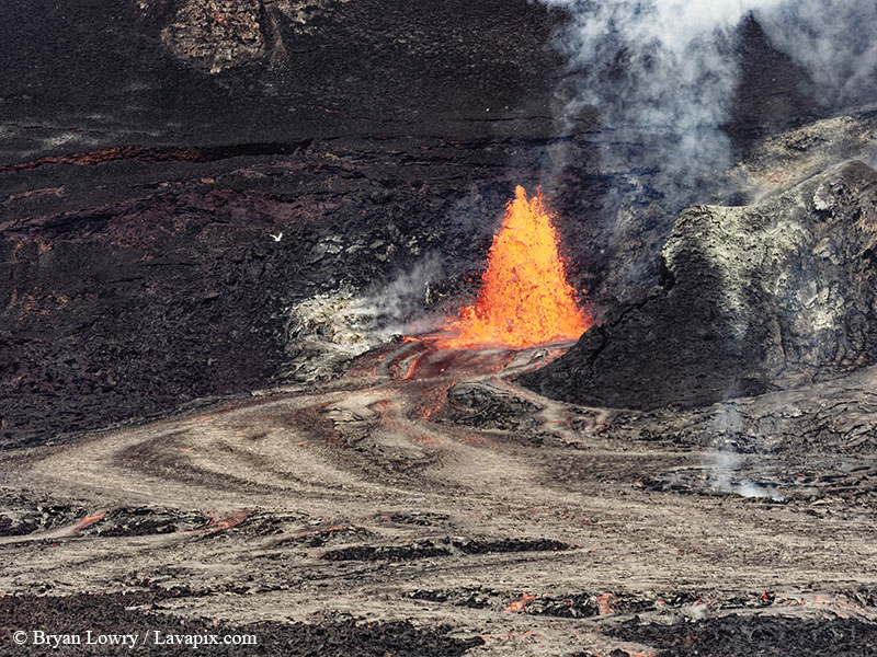 _BL_9137 Bird - 32625 GH5.jpg :: The white-tailed tropicbird, also known as Koa?'e kea in Hawaiian, is a seabird that breeds on tropical islands and lives in the crater walls of Kilauea volcanoes' Halemaumau Vent.
Adults have a 3' wingspan.
Episode 15 eruption Lava fountain, Kilauea volcano, Hawaii Volcanoes National Park, The Big Island of Hawaii. 3-26-25