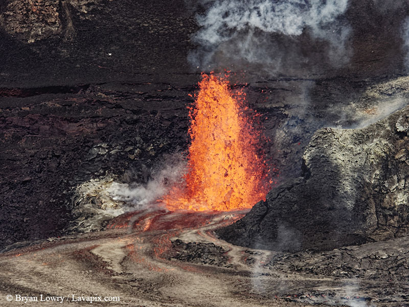 _BL_9149 Bird - 32625 GH5.jpg :: The white-tailed tropicbird, also known as Koa?'e kea in Hawaiian, is a seabird that breeds on tropical islands and lives in the crater walls of Kilauea volcanoes' Halemaumau Vent.
Adults have a 3' wingspan.
Episode 15 eruption Lava fountain, Kilauea volcano, Hawaii Volcanoes National Park, The Big Island of Hawaii. 3-26-25