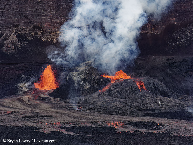 _BL_9161 Bird - 32625 GH5.jpg :: The white-tailed tropicbird, also known as Koa?'e kea in Hawaiian, is a seabird that breeds on tropical islands and lives in the crater walls of Kilauea volcanoes' Halemaumau Vent.
Adults have a 3' wingspan.
Episode 15 eruption Lava fountain, Kilauea volcano, Hawaii Volcanoes National Park, The Big Island of Hawaii. 3-26-25