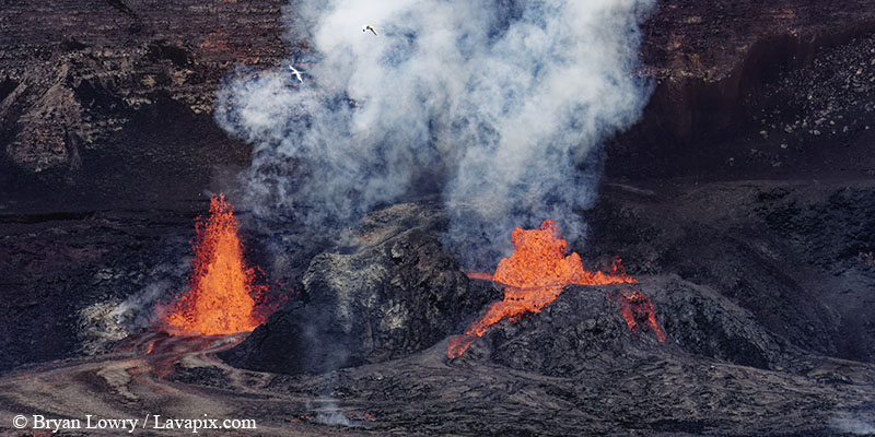 _BL_9162c Bird 32625 GH5.jpg :: The white-tailed tropicbird, also known as Koa?'e kea in Hawaiian, is a seabird that breeds on tropical islands and lives in the crater walls of Kilauea volcanoes' Halemaumau Vent.
Adults have a 3' wingspan.
Episode 15 eruption Lava fountain, Kilauea volcano, Hawaii Volcanoes National Park, The Big Island of Hawaii. 3-26-25
