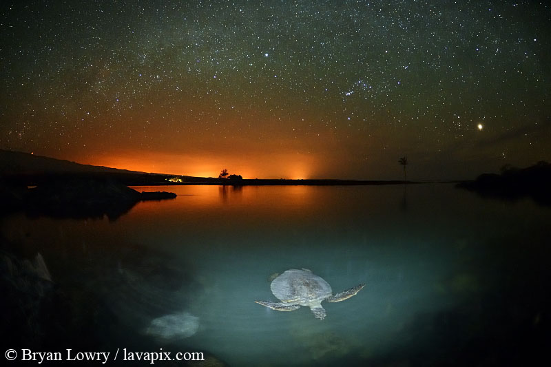 455-111135418xx.jpg :: Milky way and the glow of lights from Kailua Kona, Hawaii turtle, Chelonia mydas, Kiholo Bay fish pond, Hualalai volcano in the distance, South Kohala coast, The Big Island of Hawaii