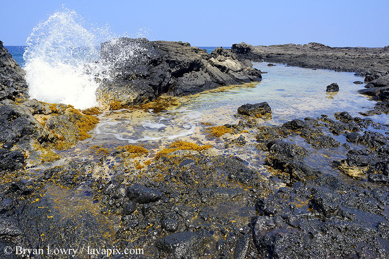 614121565xx.jpg :: Wave crashing on the coast, Tidepool, Kailua Kona, The Big Island of Hawaii