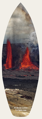 Episode 15_BJL7689s Bird.jpg