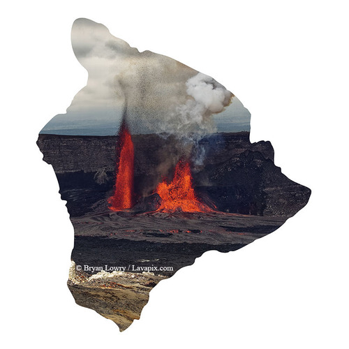 Episode 15_BJL7690 Bird_Big Island.jpg