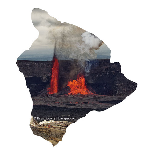 Episode 15_BJL7691 Bird_Big Island.jpg