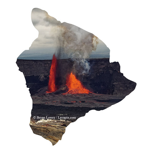 Episode 15_BJL7692 Bird_Big Island.jpg