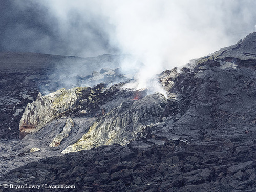 BL_0519_DXO 2-15-26 GH5.jpg