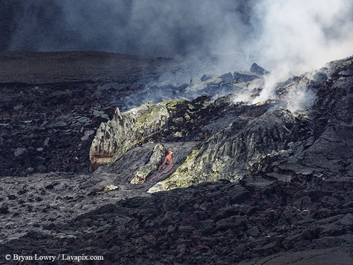 BL_0526_DXO 2-15-26 GH5.jpg