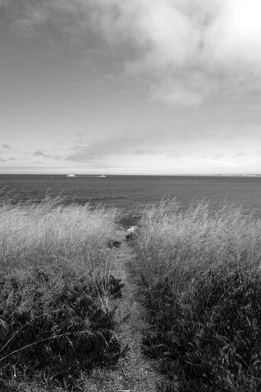 To The Beach.jpg