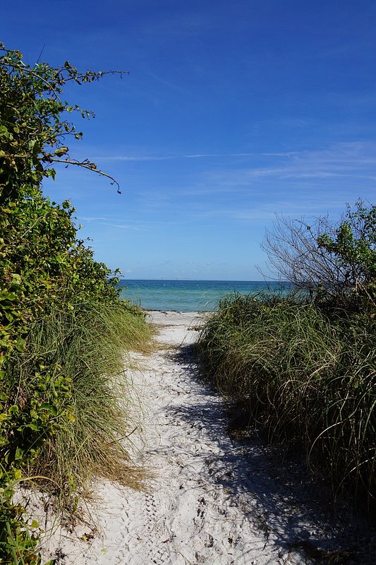 Path To The Bay.jpg