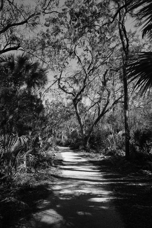 Along the Path.jpg