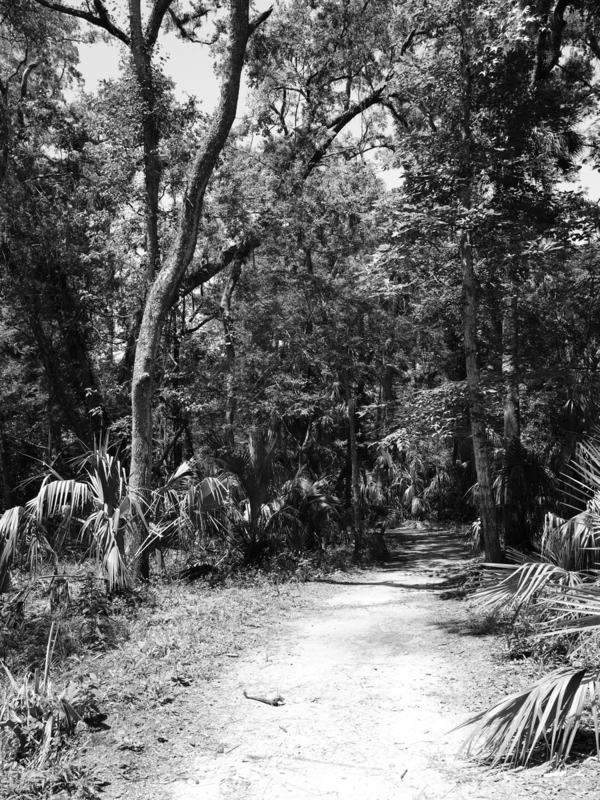 Around the Bend.jpg