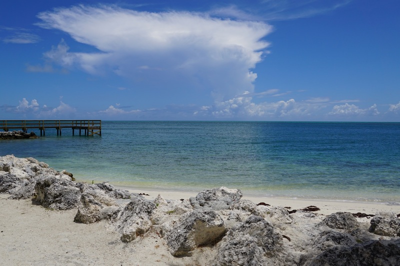 Beach View.jpg