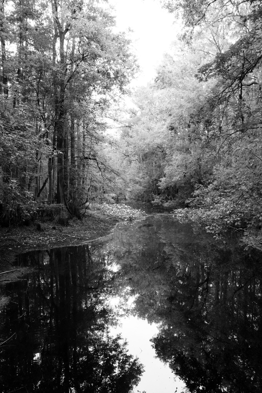 Creek Reflections.jpg