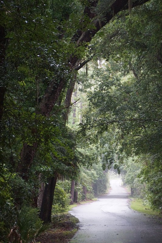 Down The Road.jpg