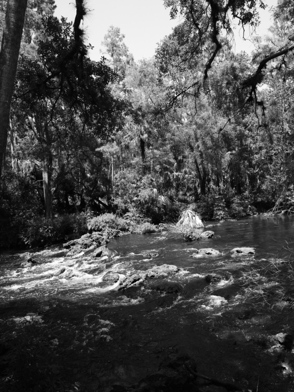 Hillsborough Rapids.jpg
